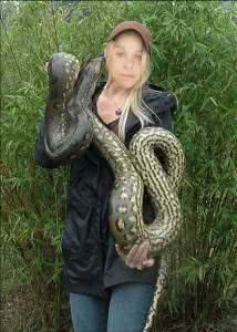 skordeli