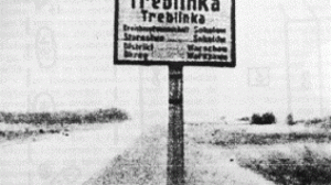 41395-treblinkasign