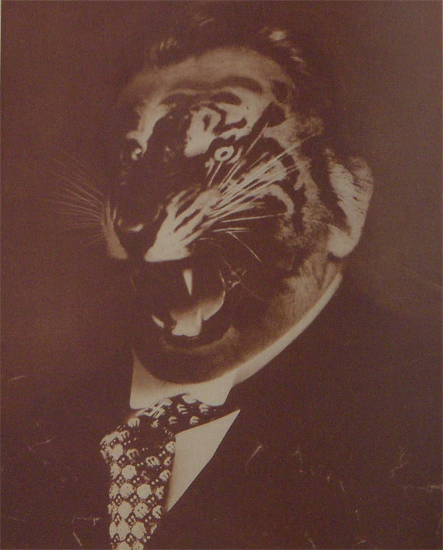 73_forcrisis_tigerface