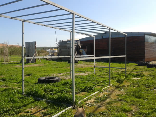 IMG18154278
