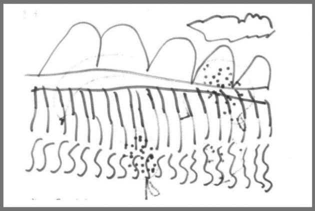 zografia2a