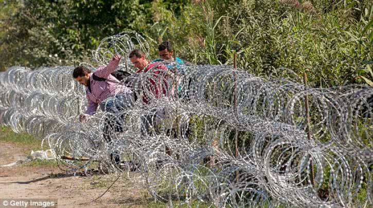 hungary-fence