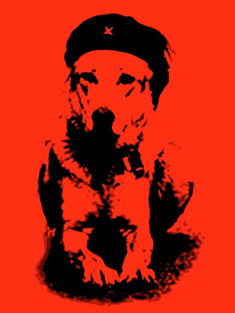 Screenshot_44